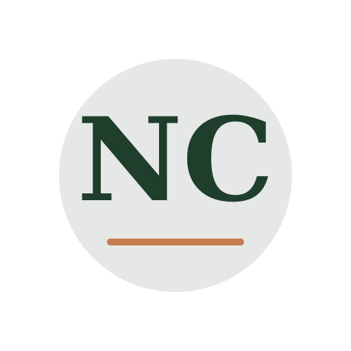 Nixel Chimney Services logo
